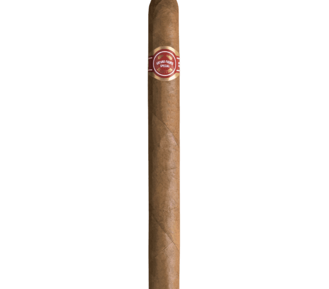 ARTURO FUENTE CURLY HEAD DE LUXE
