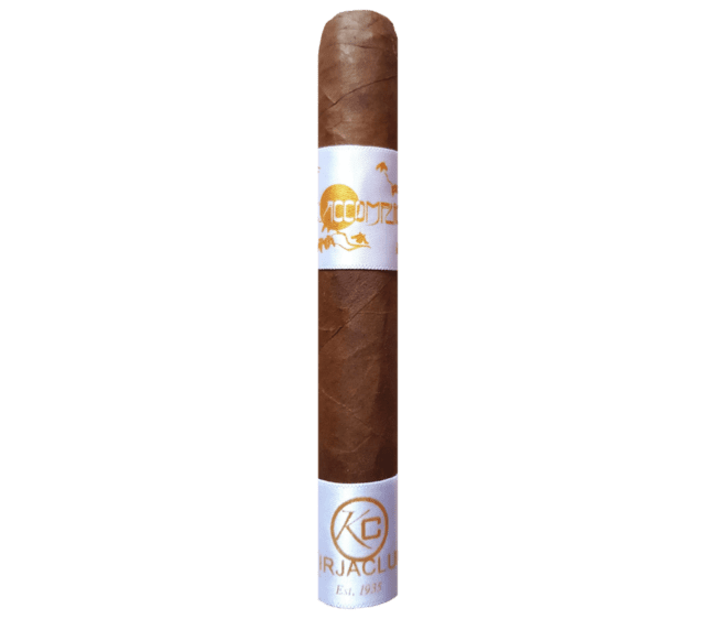 PRINCIPLE THE ACCOMPLICE CLASSIC WB ROBUSTO